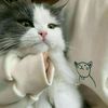 niyayesh.sharifi4
