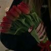 bunny.mohet0