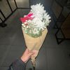 rissnyell_