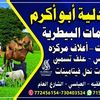 user6793239340427