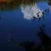 ryyxihiu.02