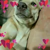 phatngushimonster.play