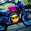 mdrajib7845