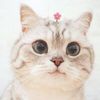 cat.cooking.ai1