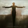 msmmdlo6