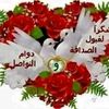 anes76181