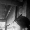 tresia.sali2