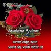 sahedamemon593