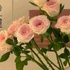 noor228088