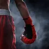 boximpactfr