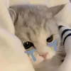 rycutehehehe
