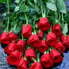 omarfarok01705597403
