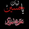 alialip859