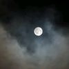 fatima.sarkar14