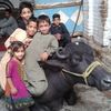 janat.gul575
