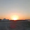 _salinaro.arnag935