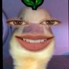 jasjus2128