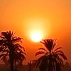 rana.saued.saeid