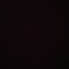 beccshark_