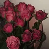 bna_849