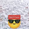 ber..217wn