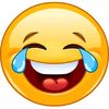 Funny animal