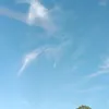 t0m_exe1