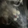 kdkslwkowhslqjqnq