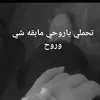 user074013755