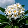 user310480074