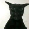 7seen_x7