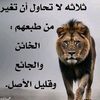 user7074830252524