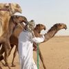 alhussaini903