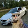 glavniyboss