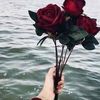 mony.alagely