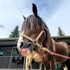 zazou_2425
