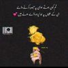 malik.urwa.malik