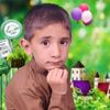 uzairbacha780
