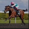 horse898