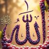 user932725013