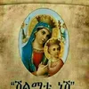 haile.goitom0