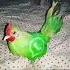 amador_de_gubby