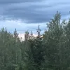 tltsi