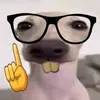 liakoueedkz