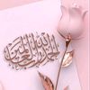 iqnal.iqbal