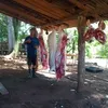 sirinobaico