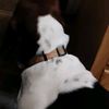 annaleigh464