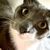 suddenly.seymour5