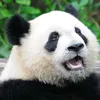 zac._.2222