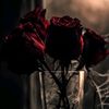anoodh1235